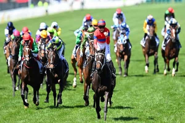 news:How To Bet On The Melbourne Cup To Win In 2021