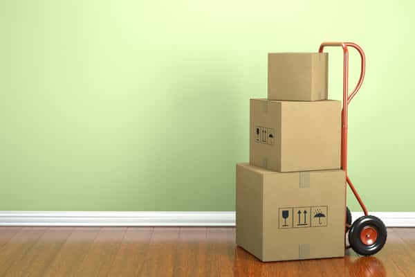 How much do removalists cost