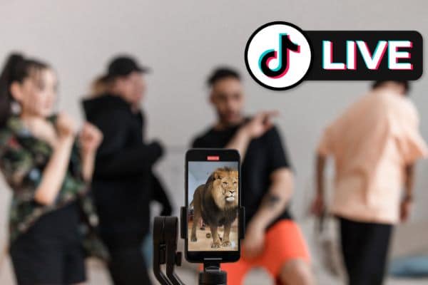 What Does a Lion Mean on TikTok?