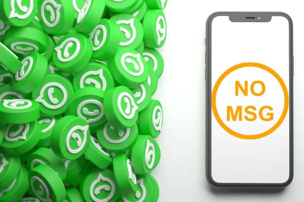How to See Deleted WhatsApp Messages on iPhone