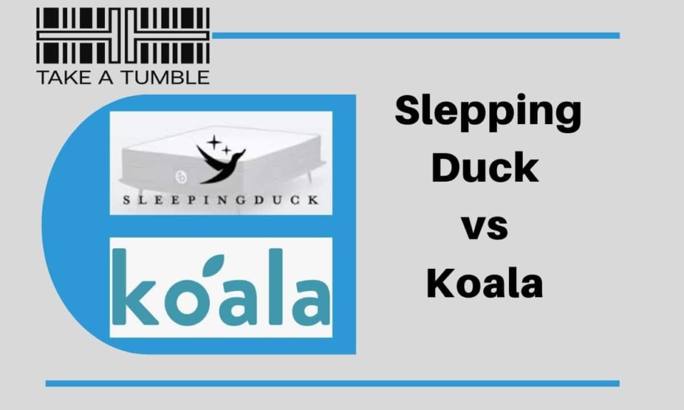 Koala vs Sleeping Duck
