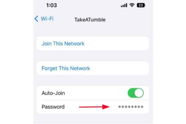  find the WiFi password on iPhone